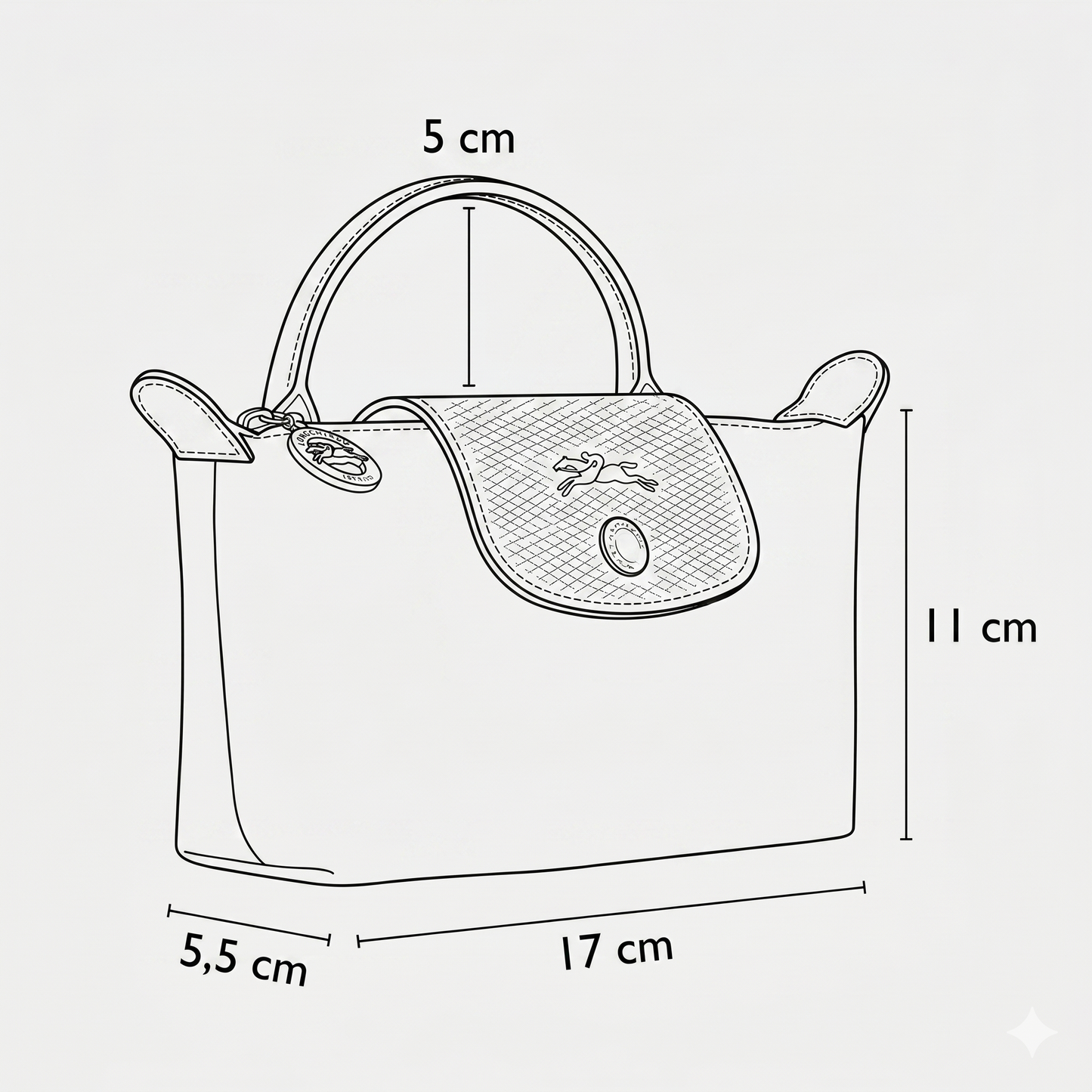 L.O.N.G.C.H.A.M.P POUCH WITH HANDLE