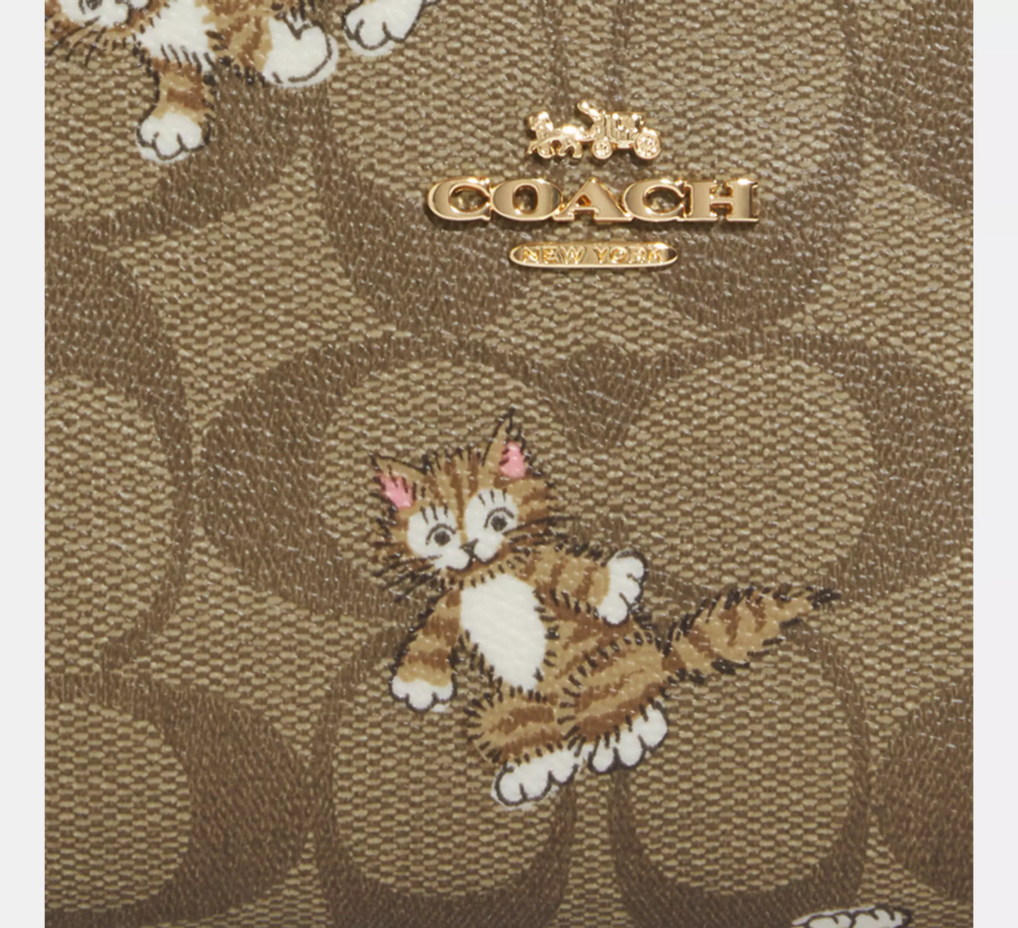 C.O.A.C.H Snap Wallet In Signature Canvas With Dancing Kitten Print
