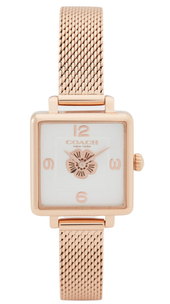 C.O.A.C.H Cass Mesh Bracelet Watch for