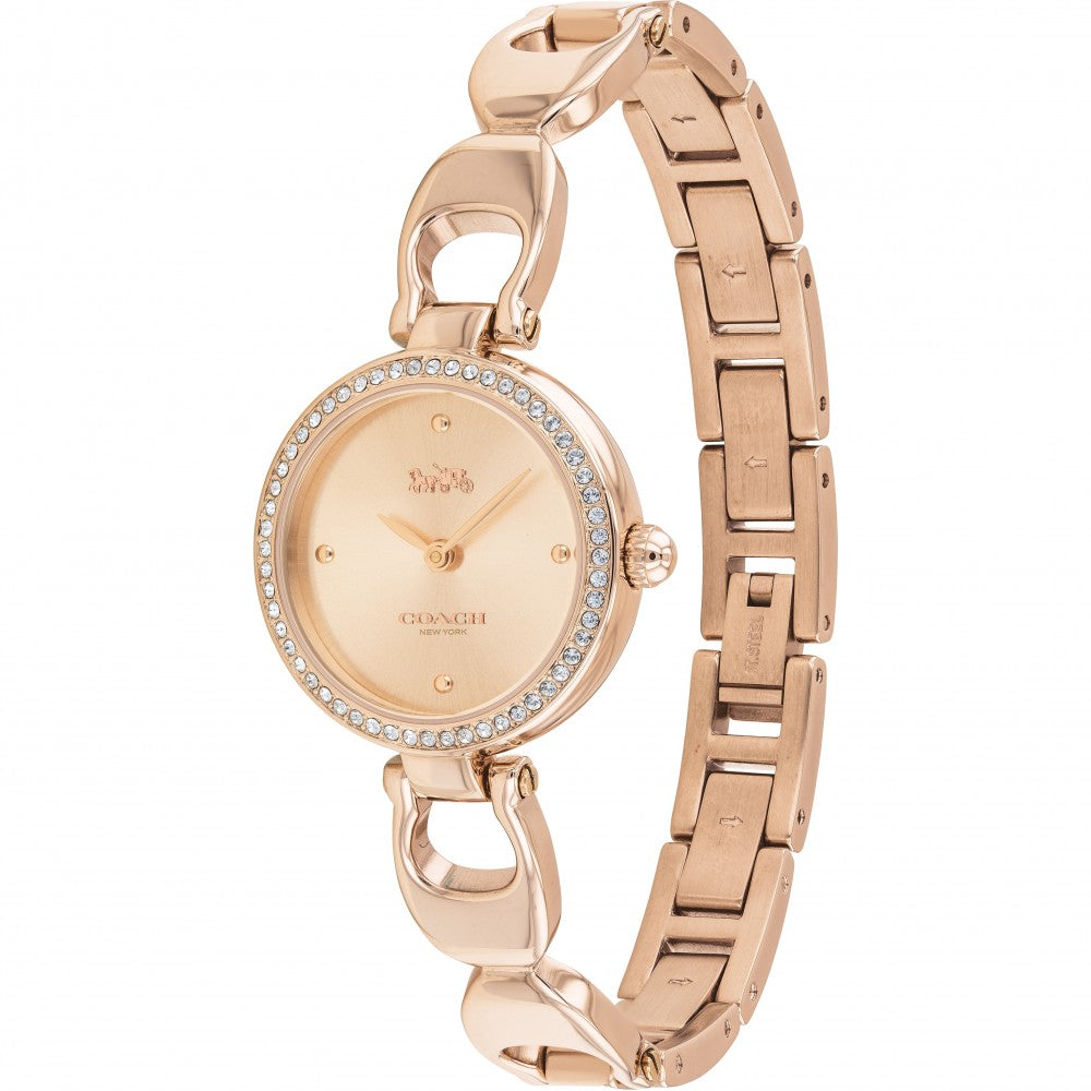 C.O.A.C.H Park Analog Watch