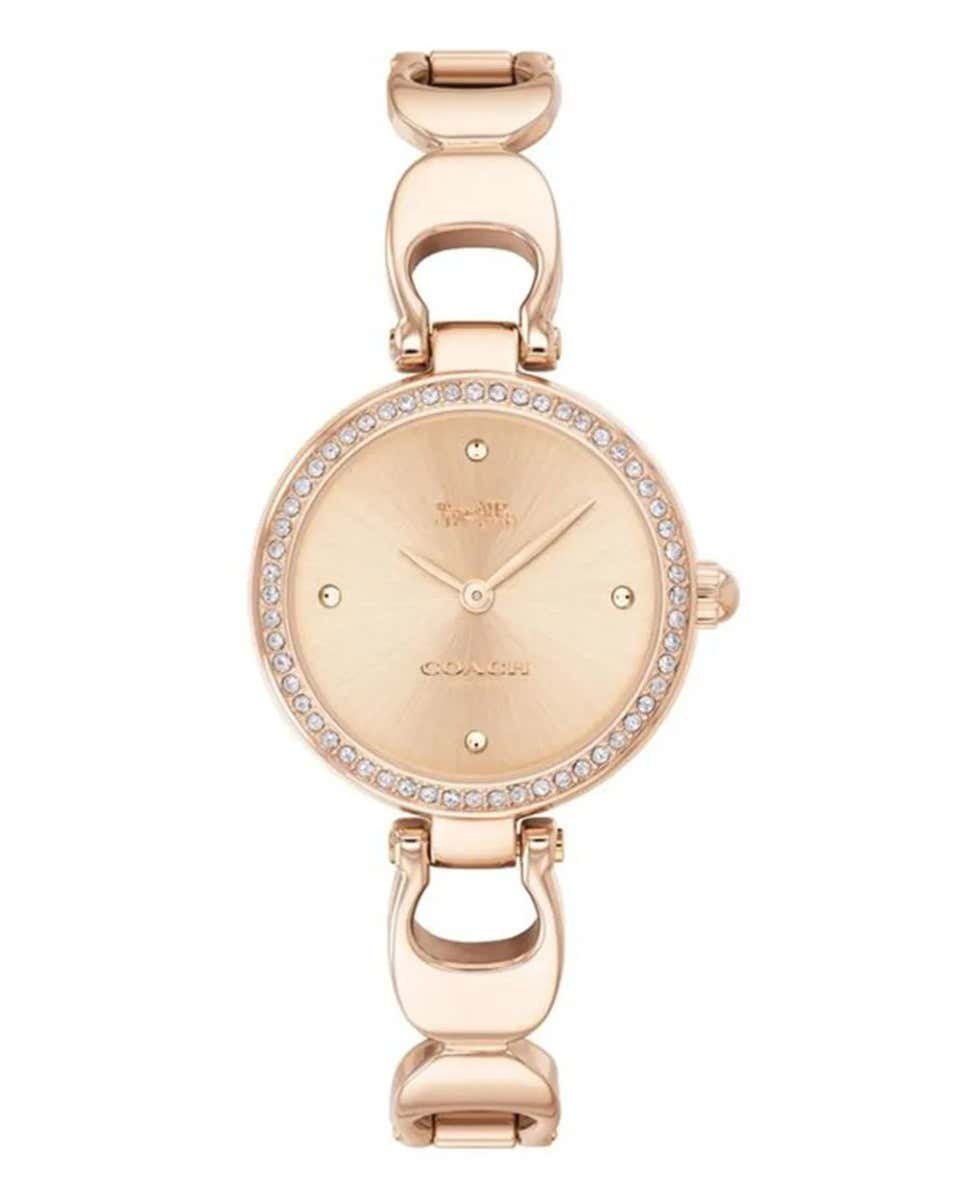 C.O.A.C.H Park Analog Watch