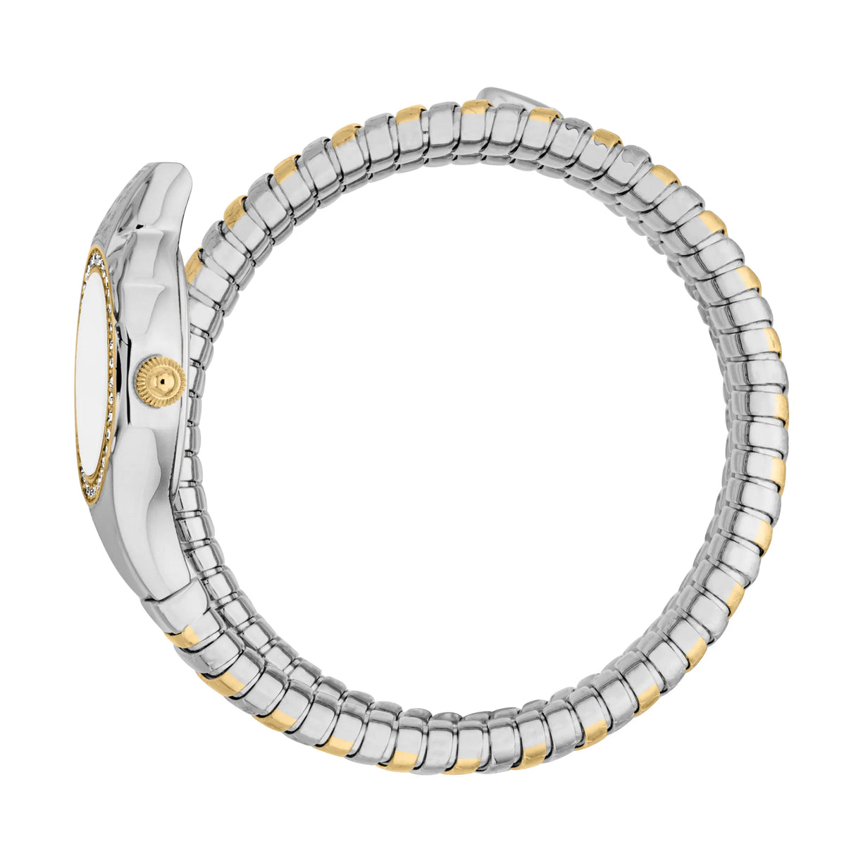 J.U.S.T C.A.V.A.L.L.I Vita Two Tones YG Silver Watch