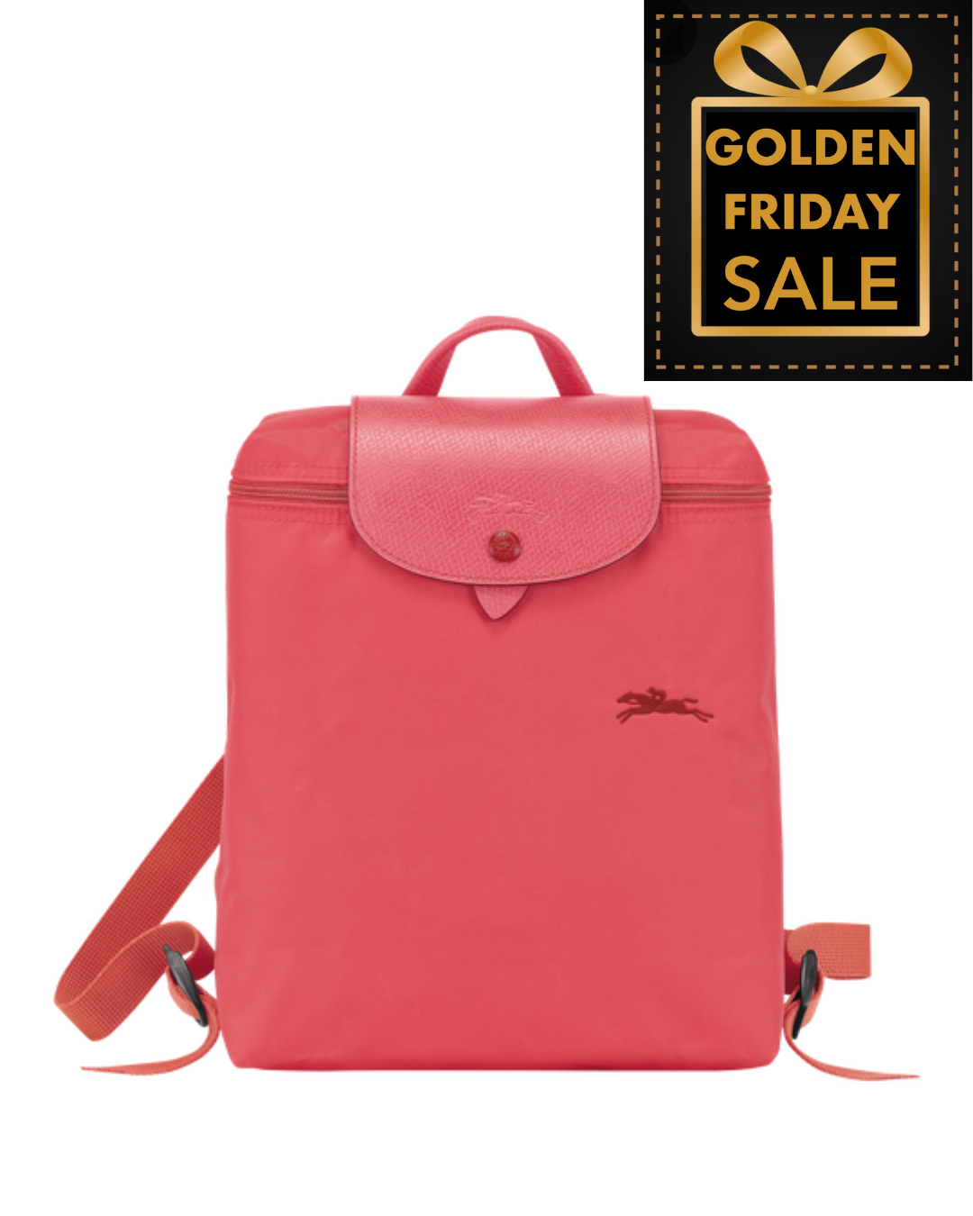 L.O.N.G.C.H.A.M.P Le Pliage M Backpack