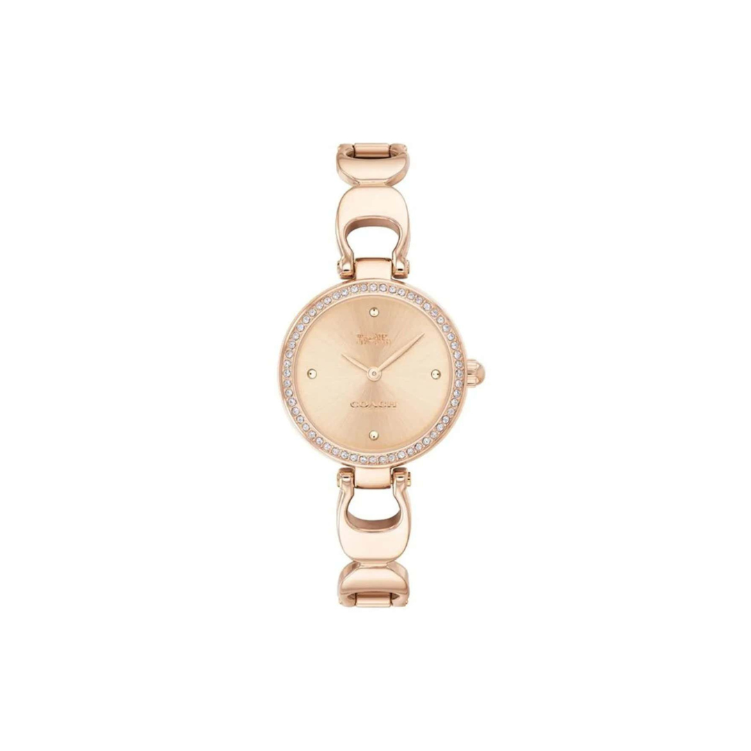 C.O.A.C.H Park Analog Watch