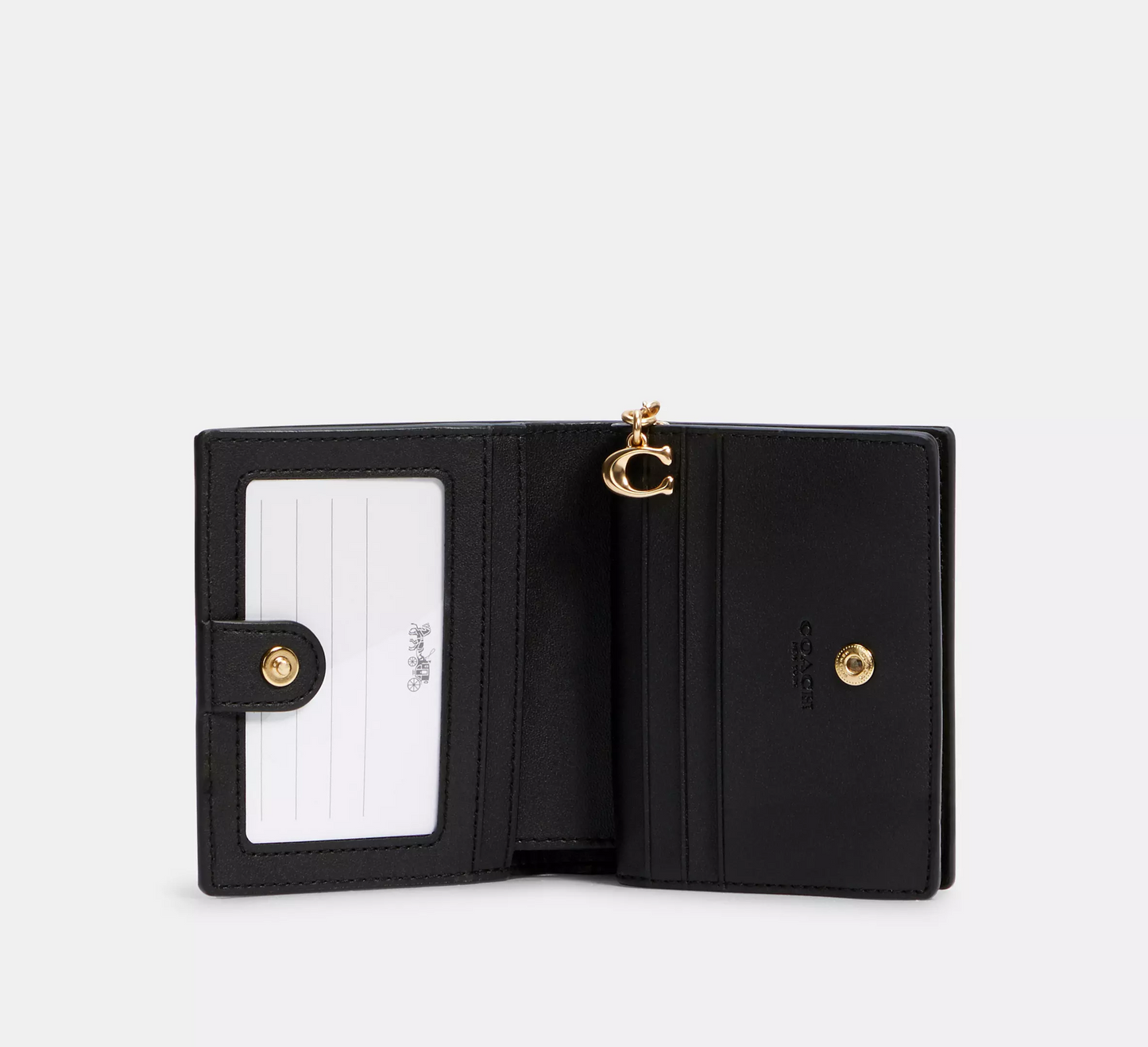 C.O.A.C.H Snap Wallet