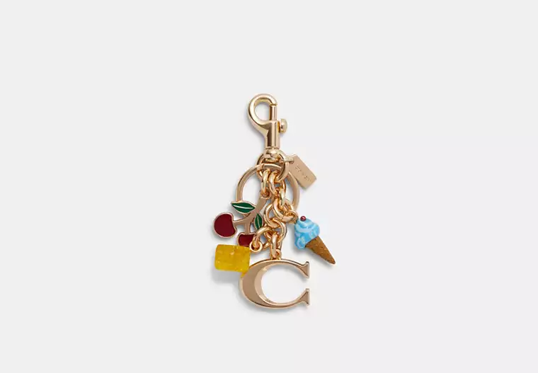 C.O.A.C.H Signature Mixed Charms Cluster Bag Charm