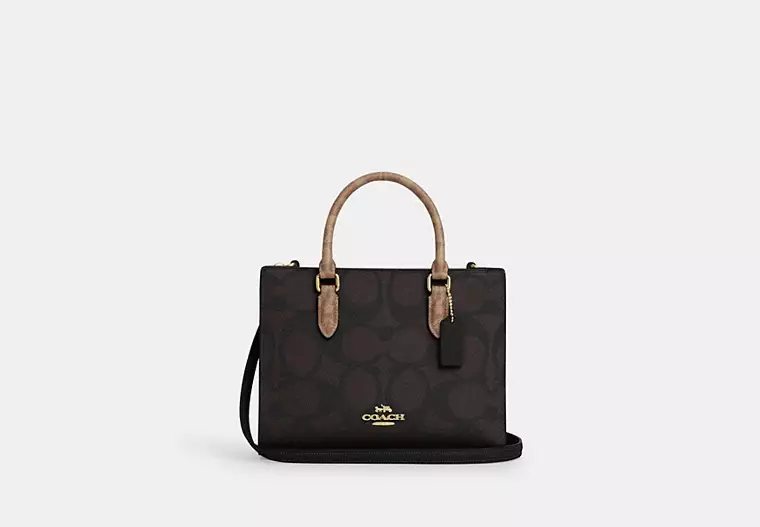 C.O.A.C.H Maggie Small Tote Bag In Blocked Signature Canvas