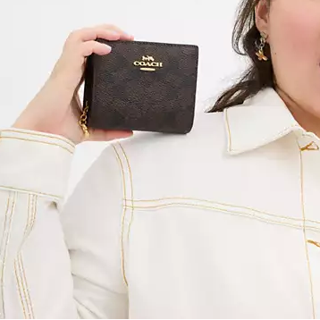 C.O.A.C.H Snap Wallet In Signature Canvas