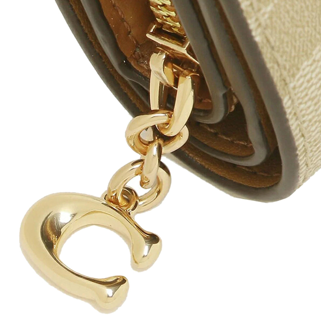 C.O.A.C.H Snap Wallet