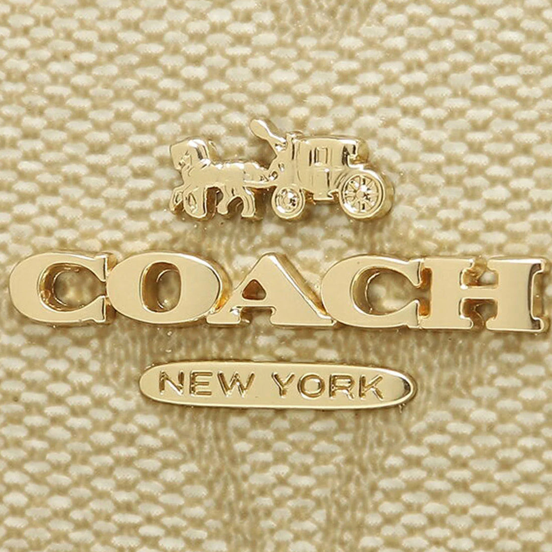 C.O.A.C.H Snap Wallet