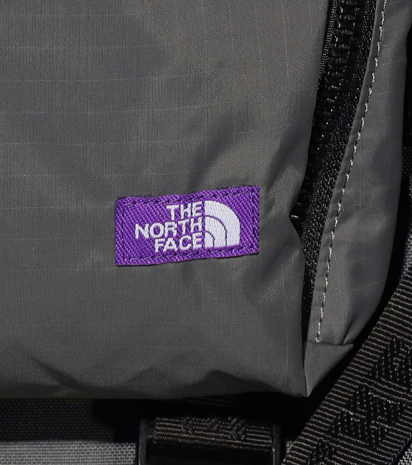 T.H.E N.O.R.T.H F.A.C.E BACKPACK
