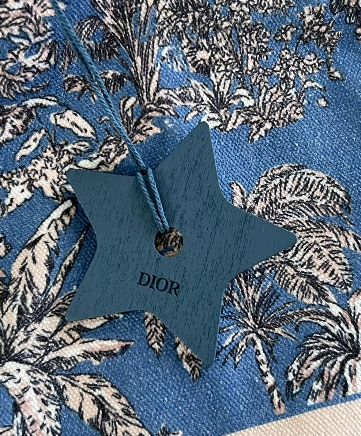 D.I.O.R SHOULDER & HANDBAG